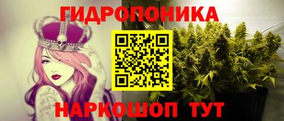 бошки Жуковский